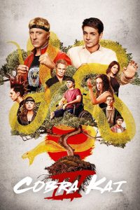 Cobra Kai: 3 Temporada